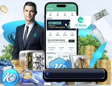 世界杯赔率 APP 深度功能